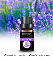 Lavender oil