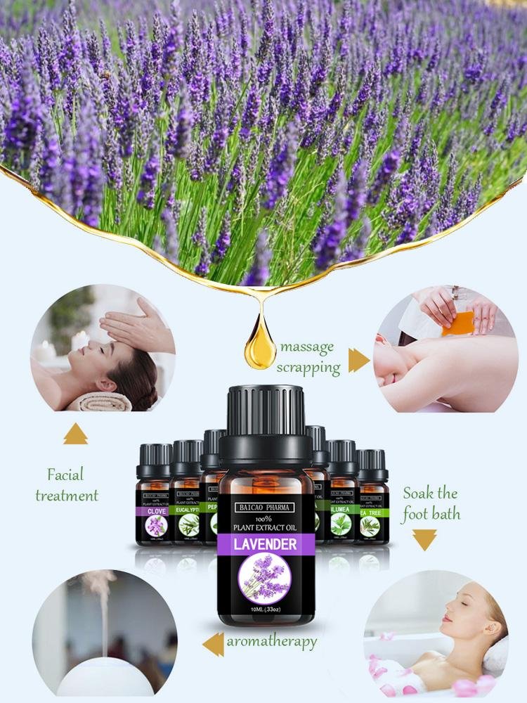  Lavender oil 3