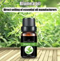 Blumea oil 2