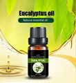 Eucalyptus oil 1