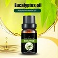 Eucalyptus oil 4
