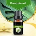 Eucalyptus oil 5
