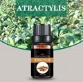  Atractylis oil 3