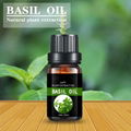  Basil oil，eugenol  1