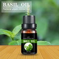  Basil oil，eugenol 