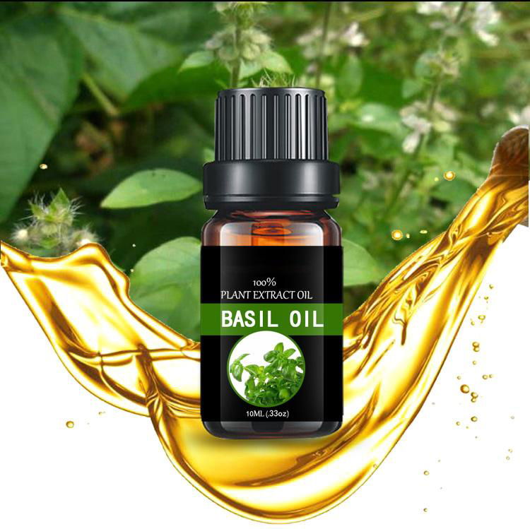  Basil oil，eugenol  2