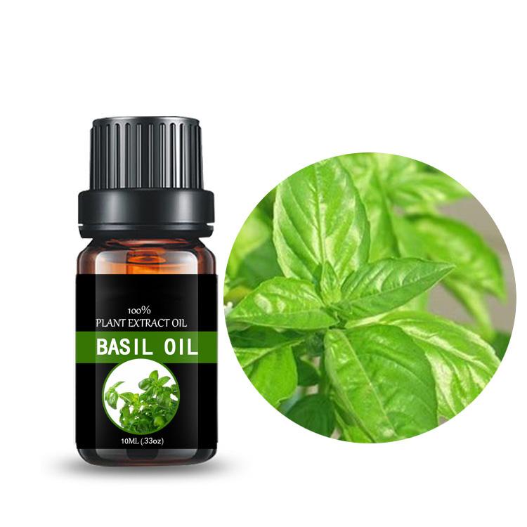 Basil oil，eugenol (China Manufacturer) Pharmaceutical Chemicals