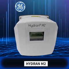 HYDRAN-M2 GE 传感器