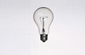 Incandescent Clear Bulb 1