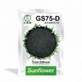 Newly bred three-line hybrid early maturity oil sunflower      Planting Sunflowe