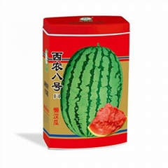 Medium mature large fruit watermelon    