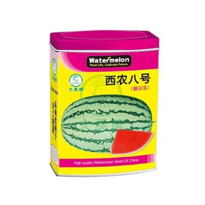 Medium mature large fruit watermelon      Seedless Watermelon      3