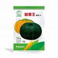 Medium/large fruit variety sweet waxy pumpkin        Pumpkin Seeds Suppliers    