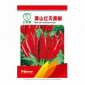 Super large and clustered red pepper     Rong Spicy Flavor Chili Pepper Seeds   