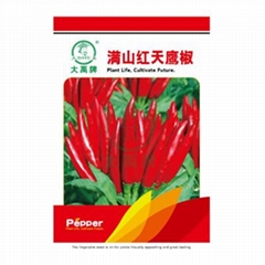 Super large and clustered red pepper     Rong Spicy Flavor Chili Pepper Seeds