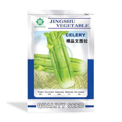 Boutique Ventura Celery Seeds      Celery Seeds Suppliers      Cheap Celery Seed