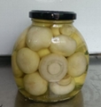 canned mushroom factory champignon mushroom whole 2