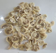 canned mushroom pieces and stems 400g 425g