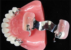  3d Printing Porcelain False Teeth Dental 3d Print