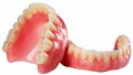 Zirconia Dental Crown | Zirconia Dental Lab in 1