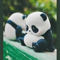 Panda Roll熊猫滚滚公