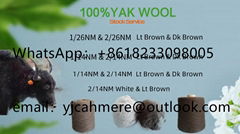 Good quality best price 100% yak wool ,yak cashmere 26nm,14nm etc in stock