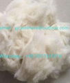 Hot sale white carded lamb wool mercerized and degreased for filling material wi 4