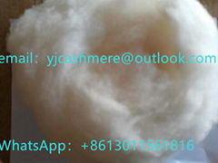 Factory newest white dehaired cashgora 19mic 22mm with mercerized and greased fo