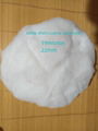 white short coarse cashmere fibre