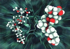 γ-Mercaptopropyltrimethoxysilane，CAS:442