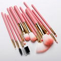 Professional cosmetic brushes 12pcs pink makeup brush set with brush case