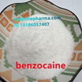 Benzocaine Based Suppliers for Health