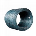 Steel Wire Rod 1