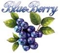 Blueberry Impex Co Ltd
