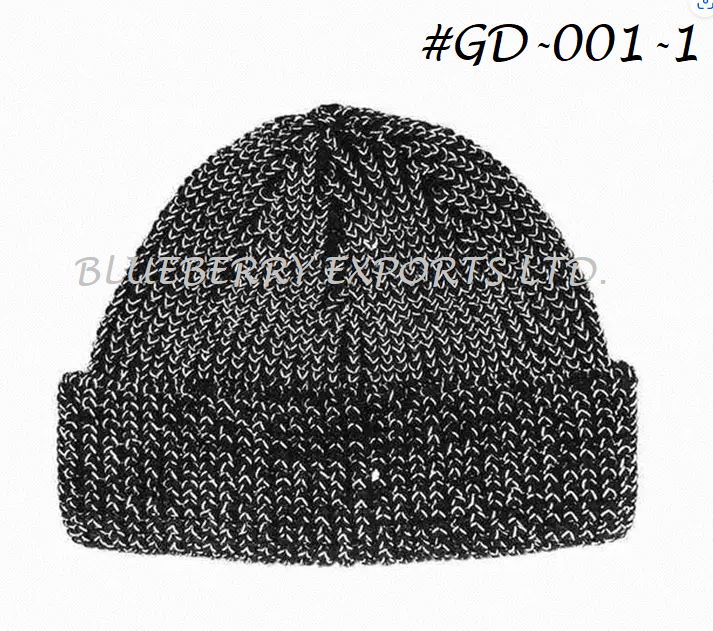 Women Winter Caps Trend Beanie Hats GD001 BLUEBERRY (China