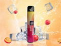 2022 hot selling disposable e-cigarette