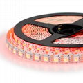 Rgb Shenzhen Factory Ip20 Addressable LC8806-5050Led Strip L 2