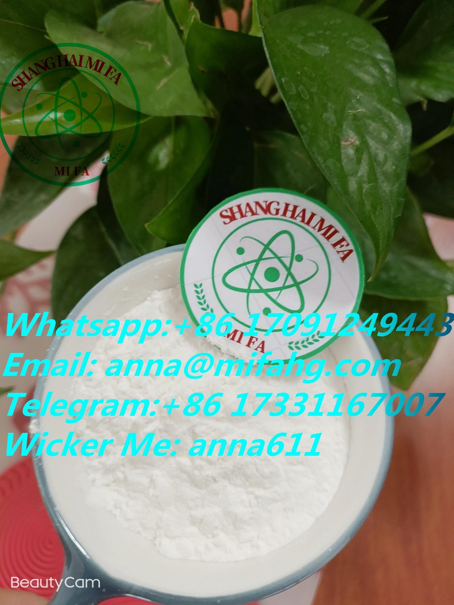 Good quality and low price High Purity 99% Research Chemical Phenacetin 