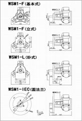 Piston pneumatic motor series
