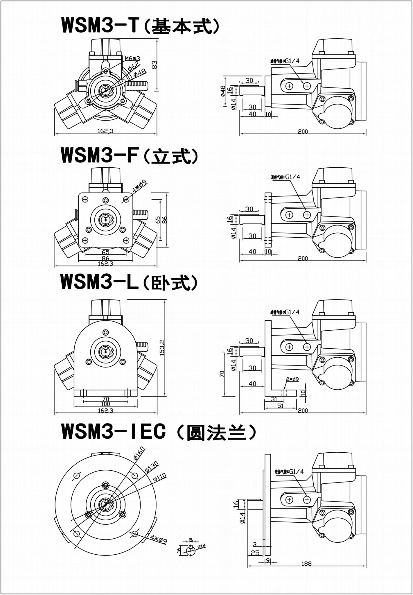 Piston pneumatic motor series 2