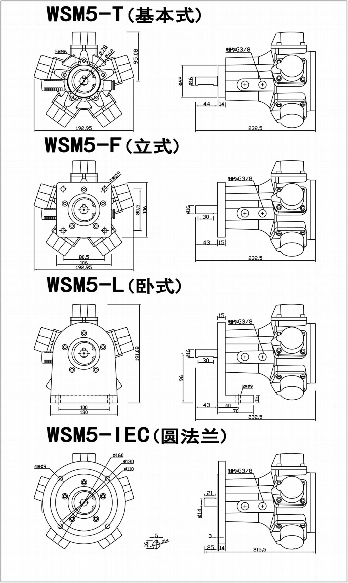 Piston pneumatic motor series 3