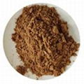 Maca root extract 1