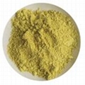 Quercetin CAS:446-72-0 1