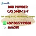 +8618627159838 CAS 5449-12-7 BMK Powder Manufacturer Hot in Netherlands/UK