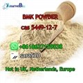 +8618627159838 CAS 5449-12-7 BMK Powder Manufacturer Hot in Netherlands/UK