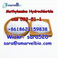 +8618627159838 CAS 593-51-1 Methylamine Hydrochloride Research Chemicals 1