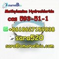 +8618627159838 CAS 593-51-1             Hydrochloride Research Chemicals