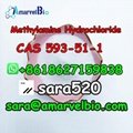 +8618627159838 CAS 593-51-1 Methylamine Hydrochloride Research Chemicals 5