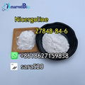 +8618627159838 Nicergoline CAS 27848-84-6 High Quality and Good Price 1