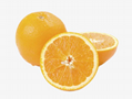 Hand sanitizer essence – sweet orange essence 1